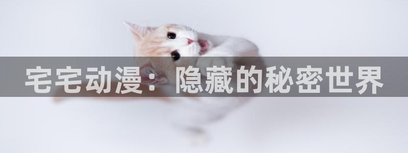 行业资讯